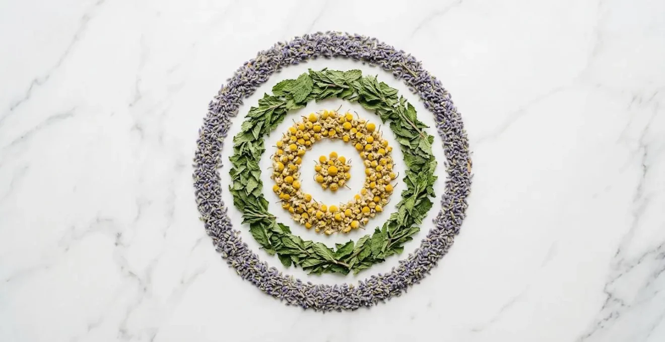 Composition artistique de plantes médicinales disposées en cercle avec effet de profondeur